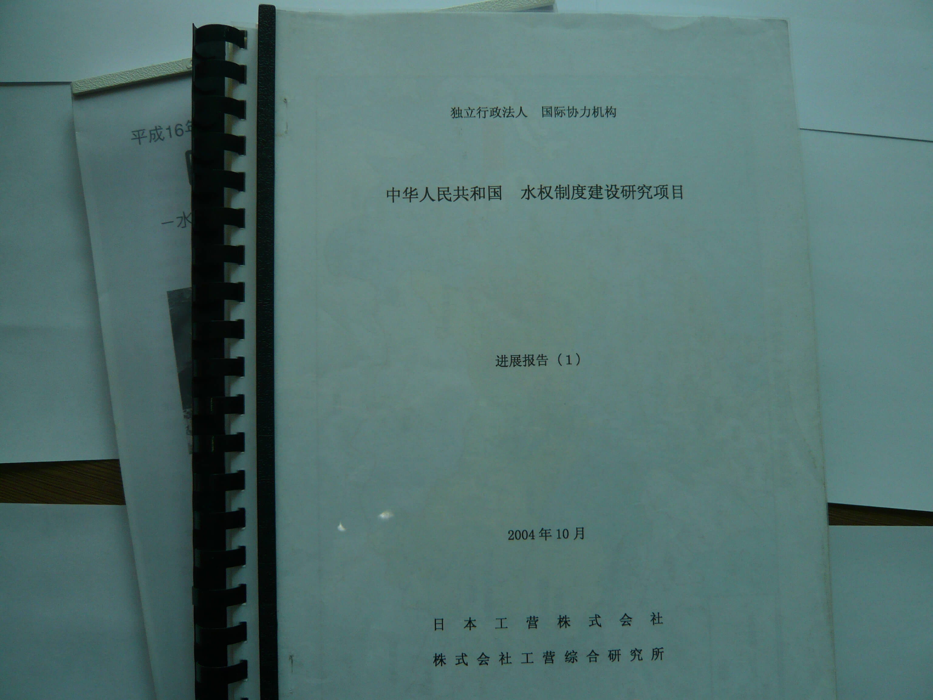 盤(pán)錦日語(yǔ)翻譯公司-日語(yǔ)翻譯公司